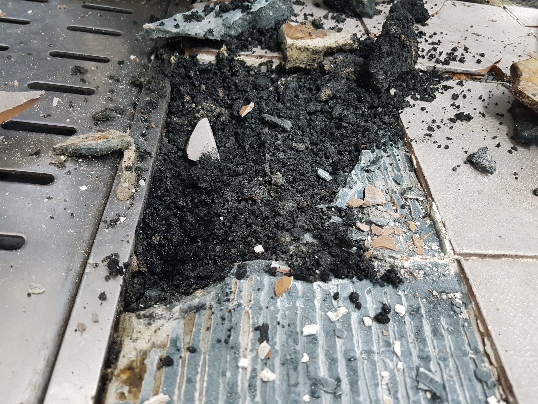 20180729_085316[1].jpg